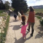 1 gozo farm visit with alpaca walk and feeding Gozo: Farm Visit With Alpaca Walk and Feeding