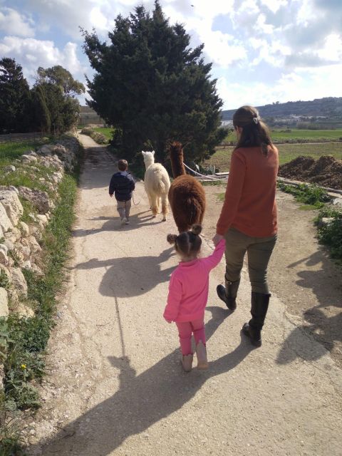 Gozo: Farm Visit With Alpaca Walk and Feeding