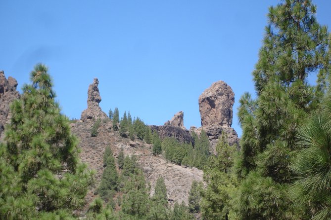 Gran Canaria Peaks Full-Day Tour From Las Palmas