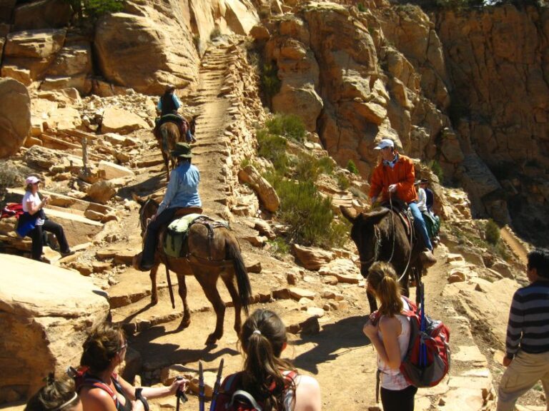 Grand Canyon Full-Day Hike From Sedona or Flagstaff
