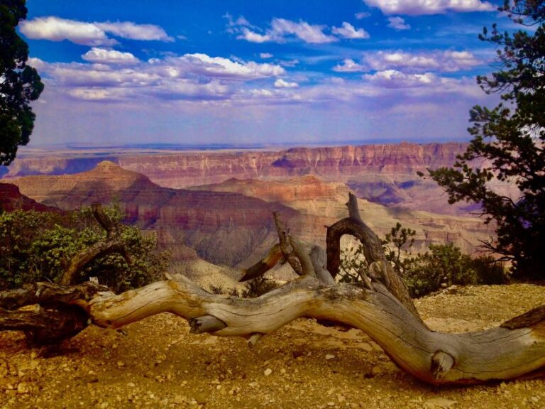 Grand Canyon: North Rim Private Group Tour From Las Vegas