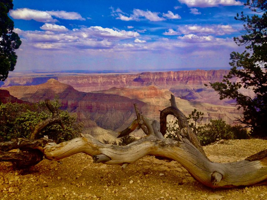1 grand canyon north rim private group tour from las vegas Grand Canyon: North Rim Private Group Tour From Las Vegas