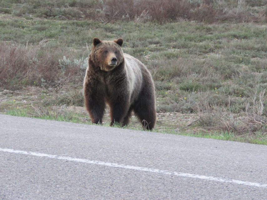 1 grand teton national park full day tour with boat ride Grand Teton National Park: Full-Day Tour With Boat Ride