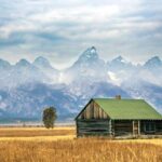 grand-teton-wildlife-safari-in-a-enclosed-or-open-air-vehicle-season-dependent-booking-process-and-overview