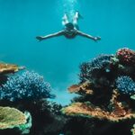 1 great barrier reef cruise from townsville or magnetic island Great Barrier Reef Cruise From Townsville or Magnetic Island