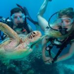 1 great barrier reef diving and snorkeling cruise from cairns Great Barrier Reef Diving and Snorkeling Cruise From Cairns