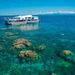 1 great barrier reef full day snorkeling cruise from cairns cairns the tropical north Great Barrier Reef Full-Day Snorkeling Cruise From Cairns - Cairns & the Tropical North