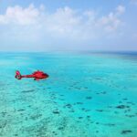1 great barrier reef or rainforest scenic flights from port douglas Great Barrier Reef or Rainforest Scenic Flights From Port Douglas