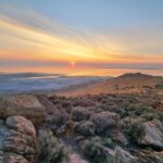 1 great salt lake wildlife and sunset experience Great Salt Lake Wildlife and Sunset Experience