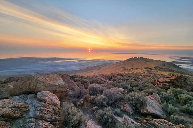 1 great salt lake wildlife and sunset Great Salt Lake Wildlife and Sunset Experience