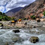 1 group shared day tour to ourika valley atlas mountains Group Shared Day Tour to Ourika Valley & Atlas Mountains