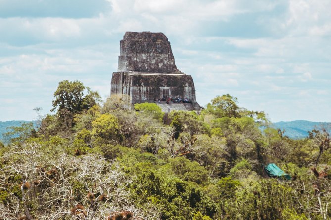 Guided All-Day Private Tour of Tikal National Park  – Flores