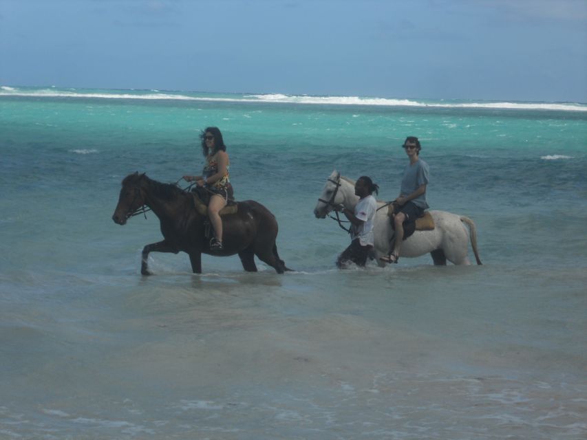 1 guided beach horseback riding dunns river falls park Guided Beach Horseback Riding, Dunn's River Falls & Park