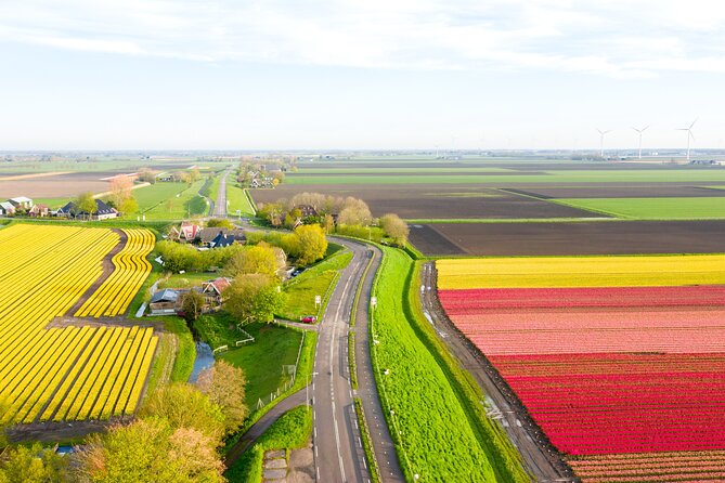 1 guided bike tour along the dutch tulip fields in noord holland Guided Bike Tour Along the Dutch Tulip Fields in Noord Holland