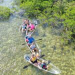 1 guided clear kayak eco tour near key west Guided Clear Kayak Eco-Tour Near Key West
