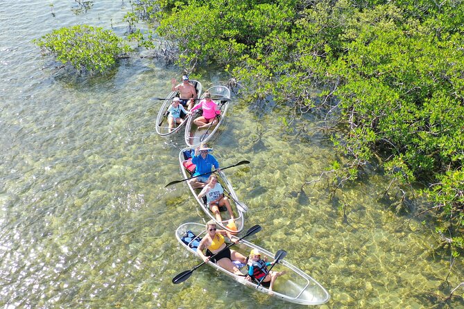 1 guided clear kayak eco tour near key west Guided Clear Kayak Eco-Tour Near Key West
