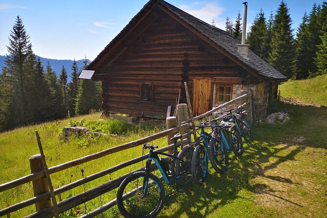 Guided E-Bike Tour of the Alpine Pastures in the Salzkammergut