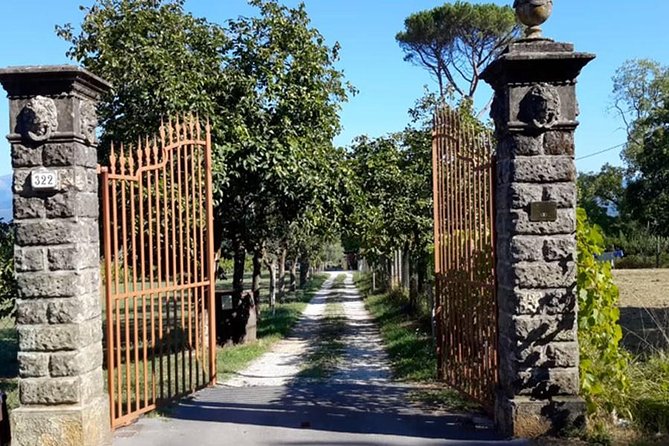 1 guided e bike tour with wine tasting from lucca Guided E-Bike Tour With Wine Tasting From Lucca