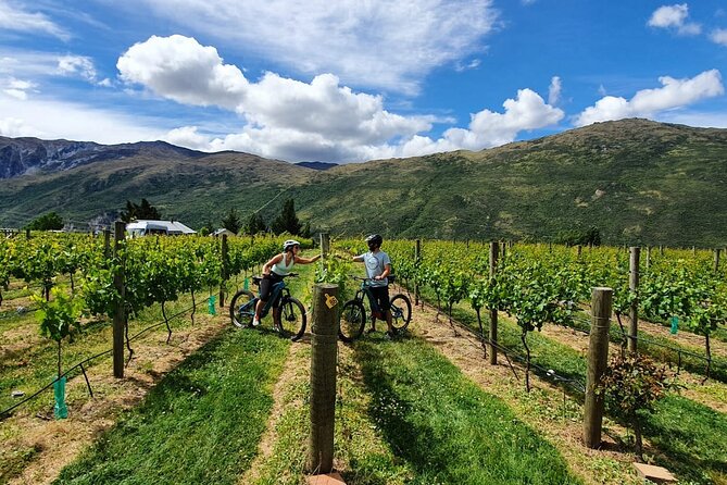 Guided Ebike Wine Tour Ride to the Vines