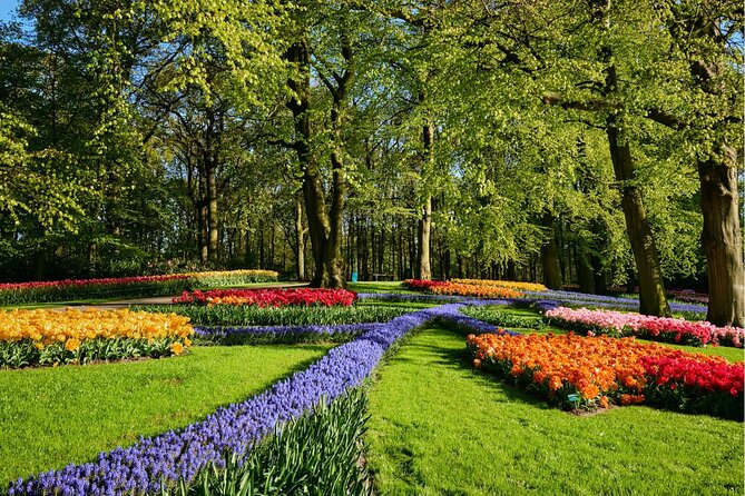 Guided Excursion to Keukenhof and Tulip Experience From Amsterdam