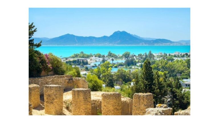 Guided Excursion : Tunis, Carthage and Sidi Bou Saïd