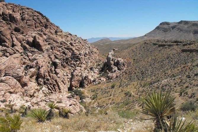 1 guided mountain bike tour of mustang trail in red rock canyon Guided Mountain Bike Tour of Mustang Trail in Red Rock Canyon