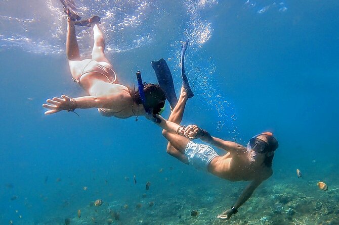 1 guided snorkeling in a secret spot of begur costa brava Guided Snorkeling in a Secret Spot of Begur, Costa Brava