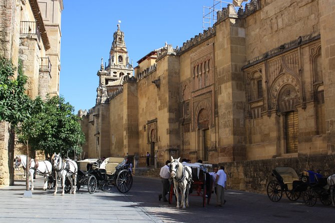 1 guided tour jewish quarter and mosque cathedral of cordoba with tickets Guided Tour Jewish Quarter and Mosque-Cathedral of Córdoba With Tickets