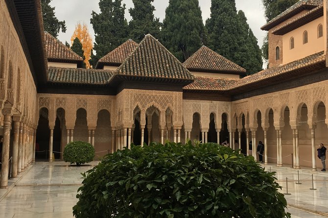 Guided Tour of Le Alhambra and Albayzin (Mar )