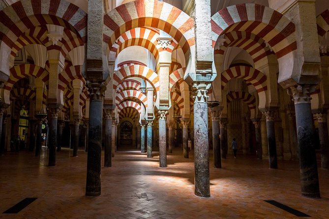 Guided Tour of the Mosque With Entrance Included