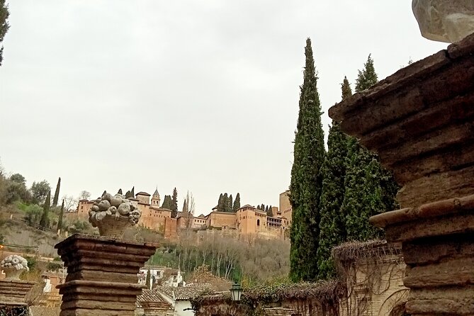 Guided Walking Tour With Panoramic Views and Terraces of Granada