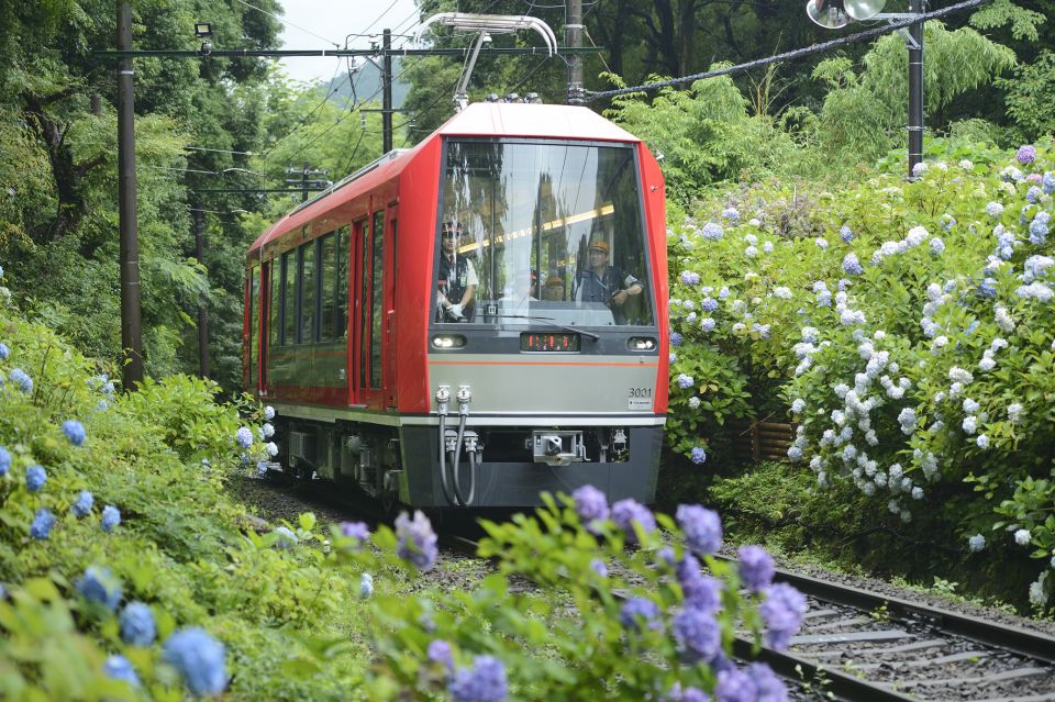 1 hakone train pass with unlimited rides activity discounts Hakone: Train Pass With Unlimited Rides & Activity Discounts