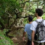 1 hakone traverse the hakone caldera and enjoy onsen Hakone: Traverse the Hakone Caldera and Enjoy Onsen