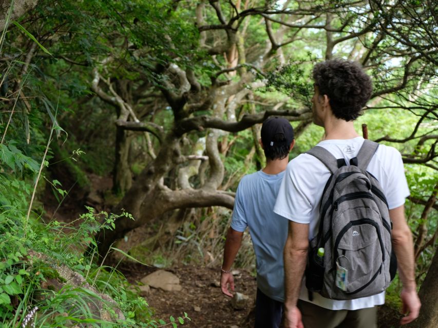 1 hakone traverse the hakone caldera and enjoy onsen Hakone: Traverse the Hakone Caldera and Enjoy Onsen