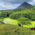 1 half day adventure from arenal 2 tours in 1 4 options to choose Half Day Adventure From Arenal -2 Tours in 1, 4 Options to Choose