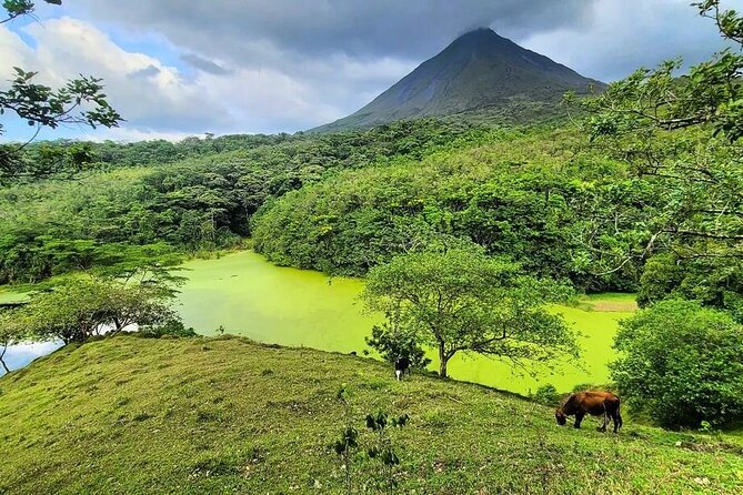 Half Day Adventure From Arenal -2 Tours in 1, 4 Options to Choose