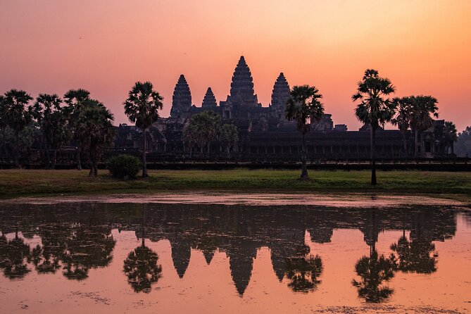 Half Day Birding in Angkor Wat