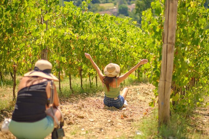 1 half day chianti vineyard escape from florence with wine tastings Half Day Chianti Vineyard Escape From Florence With Wine Tastings