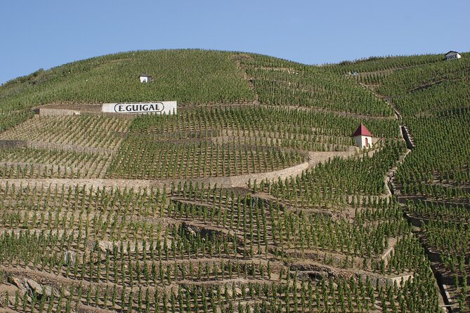 1 half day cotes du rhone private wine tour from lyon Half-Day Cotes Du Rhone Private Wine Tour From Lyon