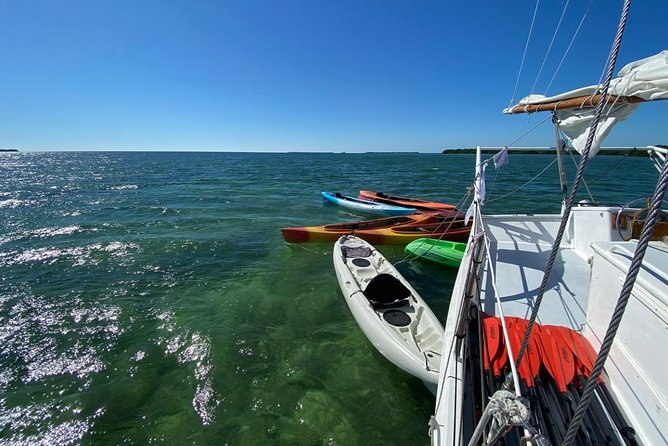 1 half day cruise from key west with kayaking and snorkeling Half-Day Cruise From Key West With Kayaking and Snorkeling