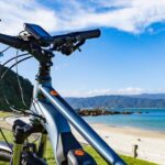1 half day e bike rental with helmet and map wellington Half-Day E-Bike Rental With Helmet and Map, Wellington