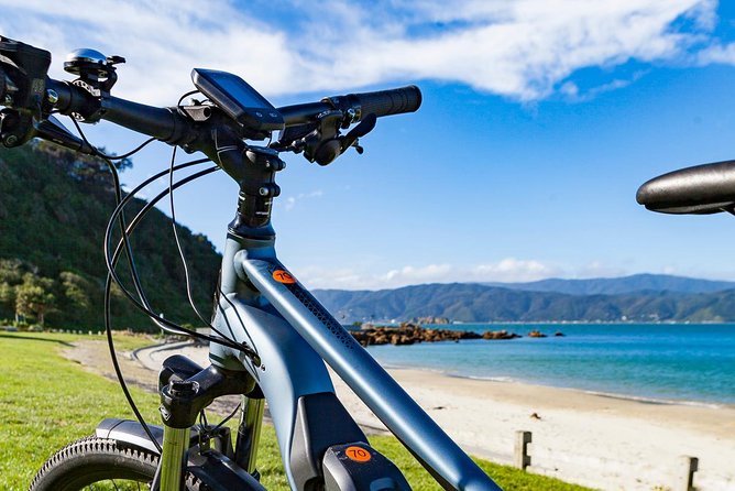 Half-Day E-Bike Rental With Helmet and Map, Wellington