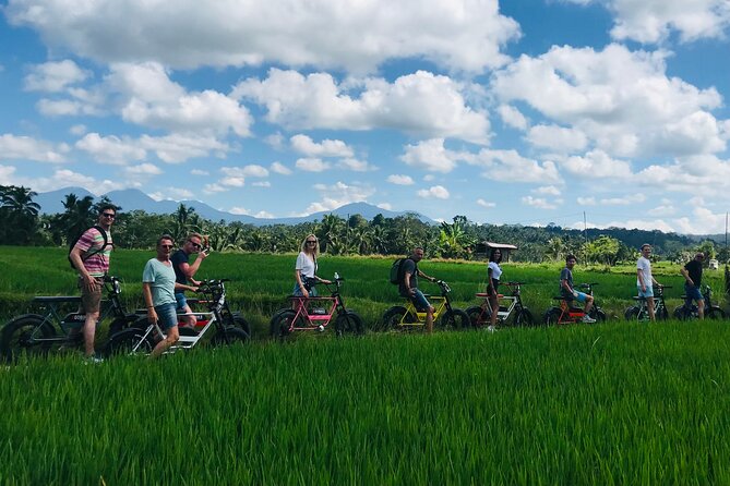 Half-Day Electric Fat Bike Tour of Ubud