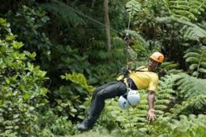 1 half day fiji zip line tour at pacific harbour Half Day Fiji Zip-Line Tour at Pacific Harbour