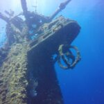 1 half day geographe boat dive experience mar Half-Day Geographe Boat Dive Experience (Mar )