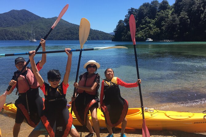 Half-Day Guided Sea Kayaking Tour From Anakiwa