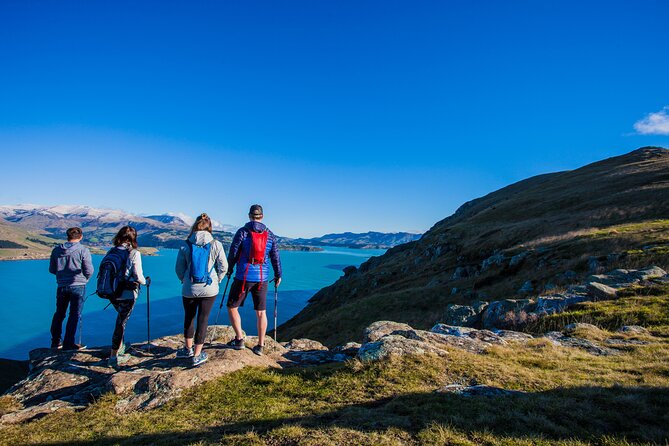 1 half day guided walking tour on banks peninsula Half Day Guided Walking Tour on Banks Peninsula