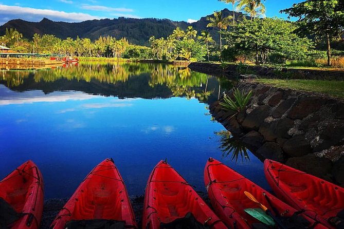1 half day kayak and waterfall hike tour in kauai with lunch Half-Day Kayak and Waterfall Hike Tour in Kauai With Lunch