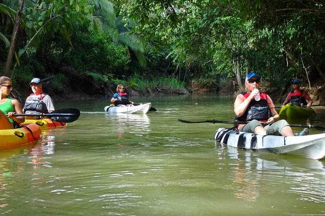 Half-Day Mangroves Tour by Kayak With a Naturalist Guide (Mar )