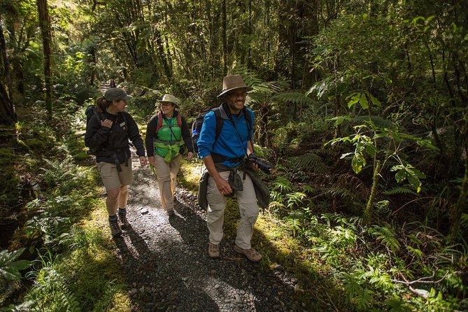 1 half day milford track guided hiking tour Half-Day Milford Track Guided Hiking Tour